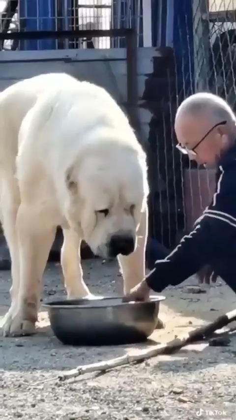 I'm hungry, give me the food I'm hungry, give me the food