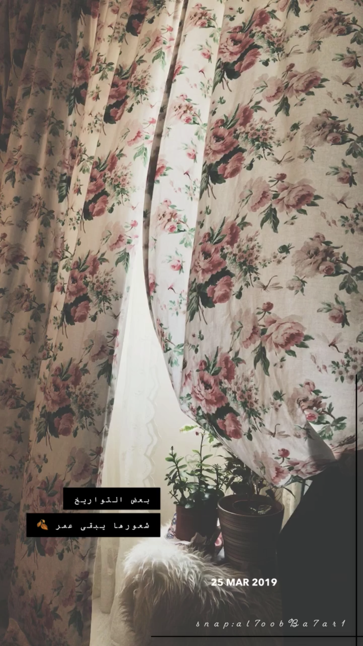 همسة بعض التواريخ شعورها يبقى عمر تصويري تصويري سناب تصميمي تصميم ٢٥ مارس ميلاد صوره من في Amazing Quotes Snapchat Quotes Positive Notes