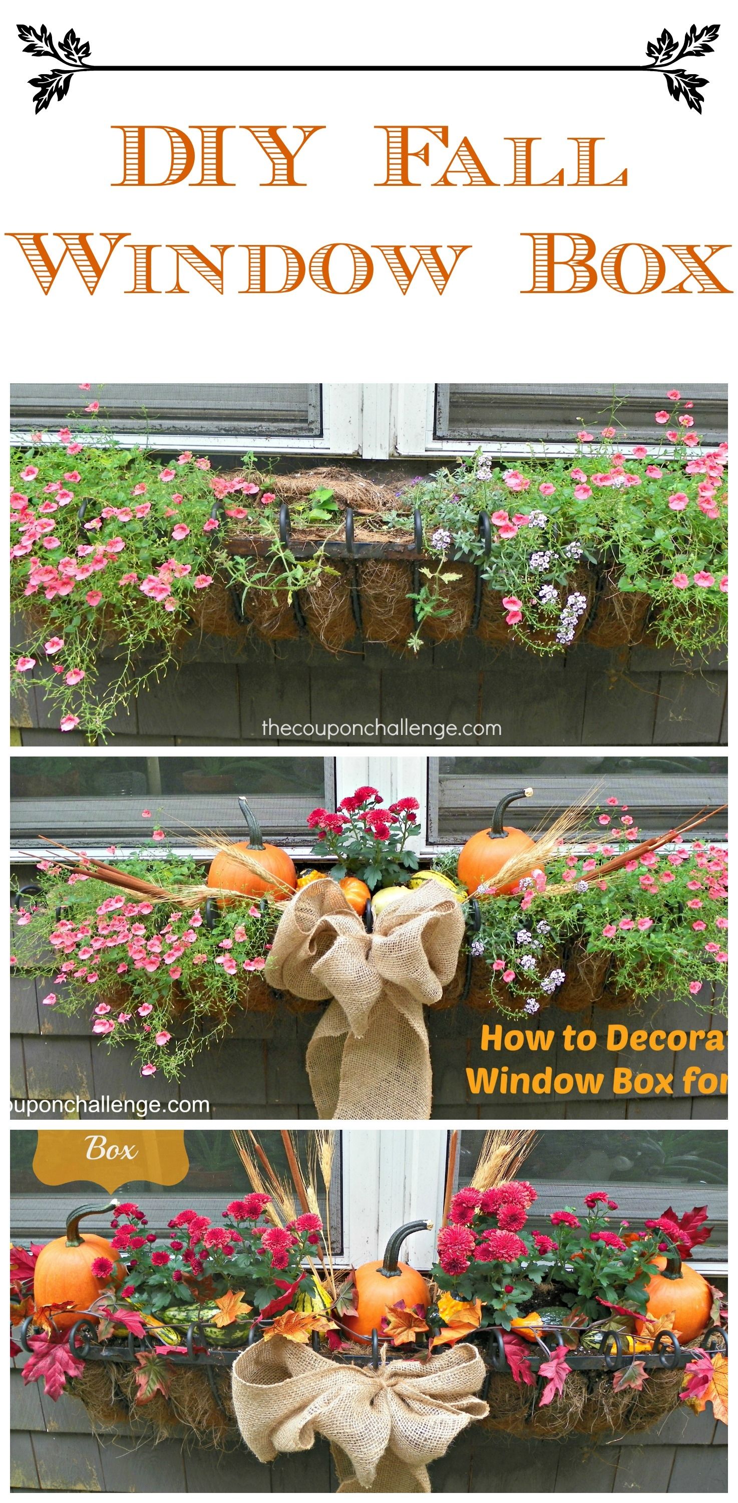 Diy Fall Window Box Flowers Autumn Garden Gardening Windows Diy Fall Window Box Flowers Autumn Garden Gardening Windows Home Ideas Gardens