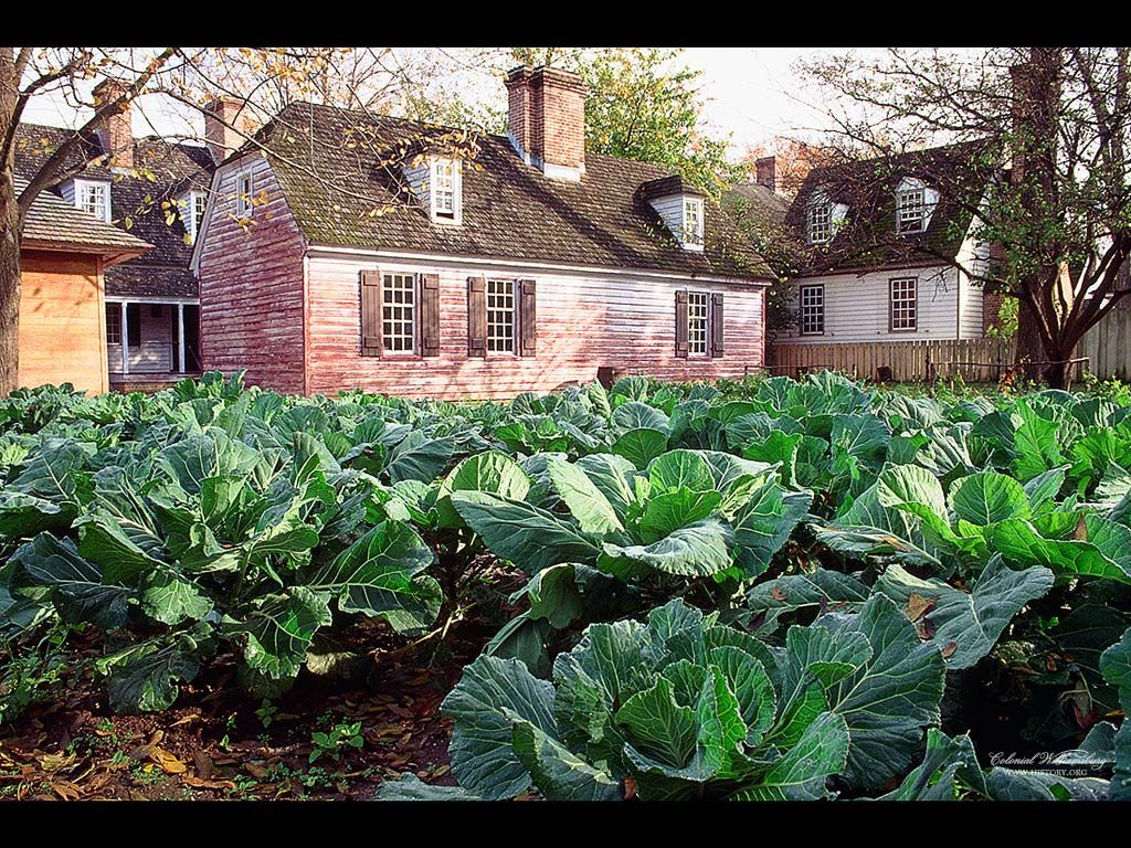 Vegetable garden Colonial garden, Colonial williamsburg, Kitchen garden