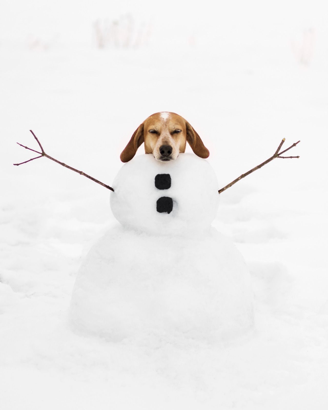 Maddieonthings Found Some Great Snow This Season And This Neat