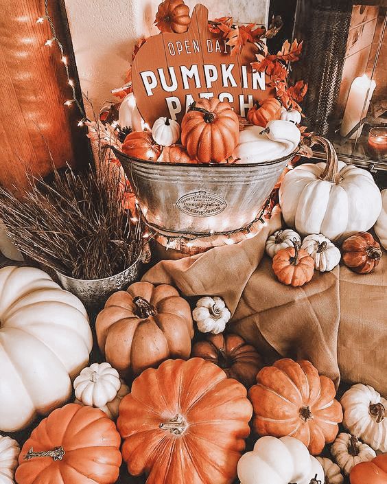 4 Mobile Lightroom Presets Fall, Lightroom Mobile 4 Mobile Lightroom Presets Fall, Lightroom Mobile