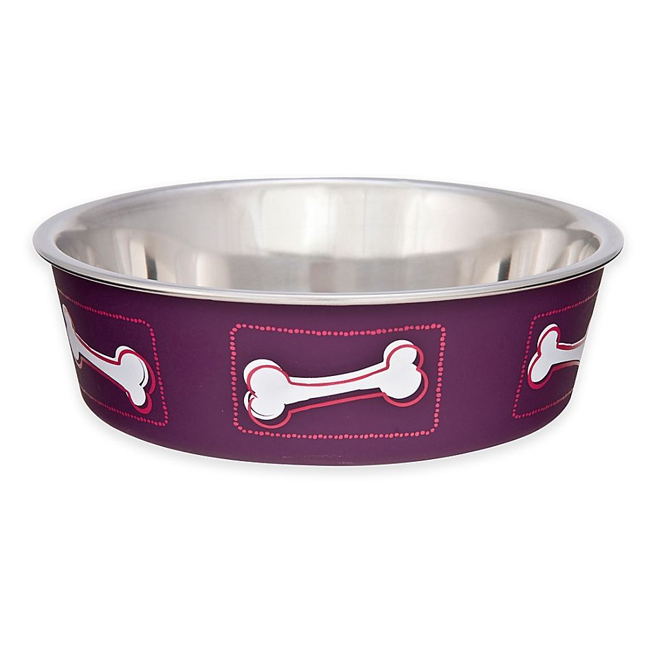 Bella Coastal And Cosmo Collections Medium Wineberry Pet Bowl