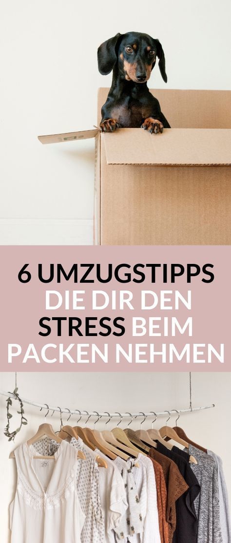 6 Umzugstipps, die dir den Stress beim Packen nehmen - mirohome
