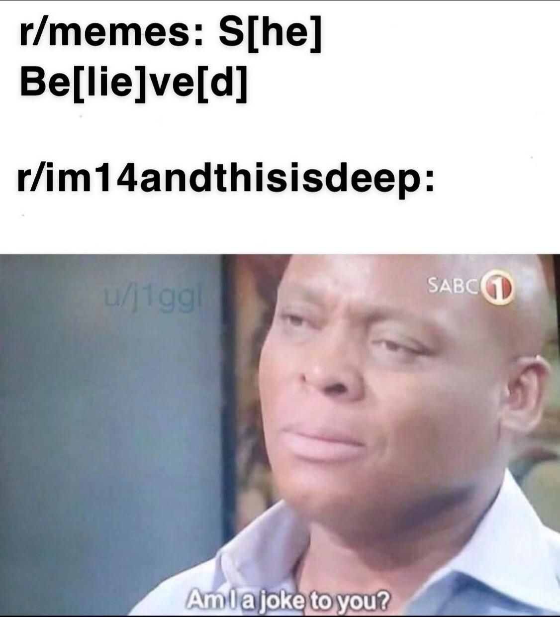 Tfw Reddit Complains About Meme Stealers But Goes On To Steal From
