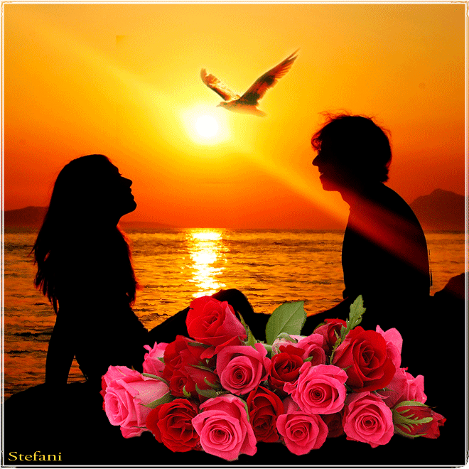 Kostenlose dating sites in chandigarh