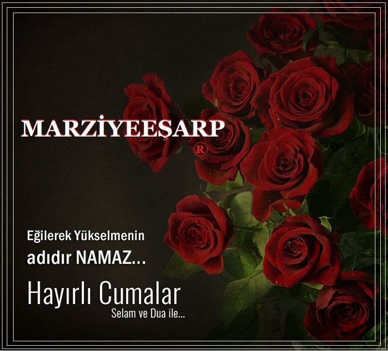 Hatay Isparta Kars Kastamonu Kayseri Kirklareli Kirsehir Kocaeli Konya Kutahya Malatya Adana Afyon Agri Amasya Ankara Aydin Balikesir Bil Batman Dualar Taylar