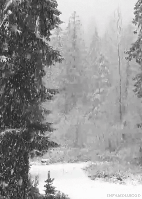 Snowcrystals | Winter scenery, Winter magic, Winter landscape
