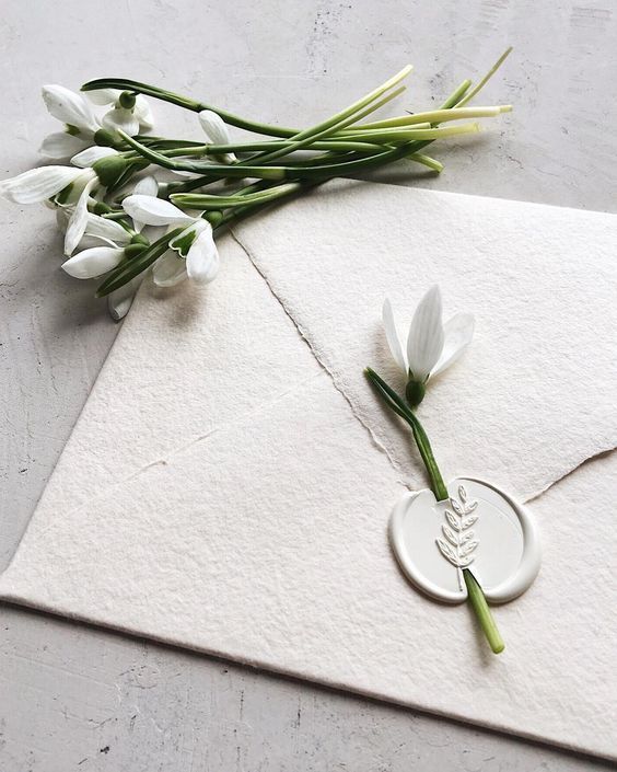 minimalista blanco invitaciones de boda con sello de cera y flores de verdad , bodas de primavera, de invierno boda d…