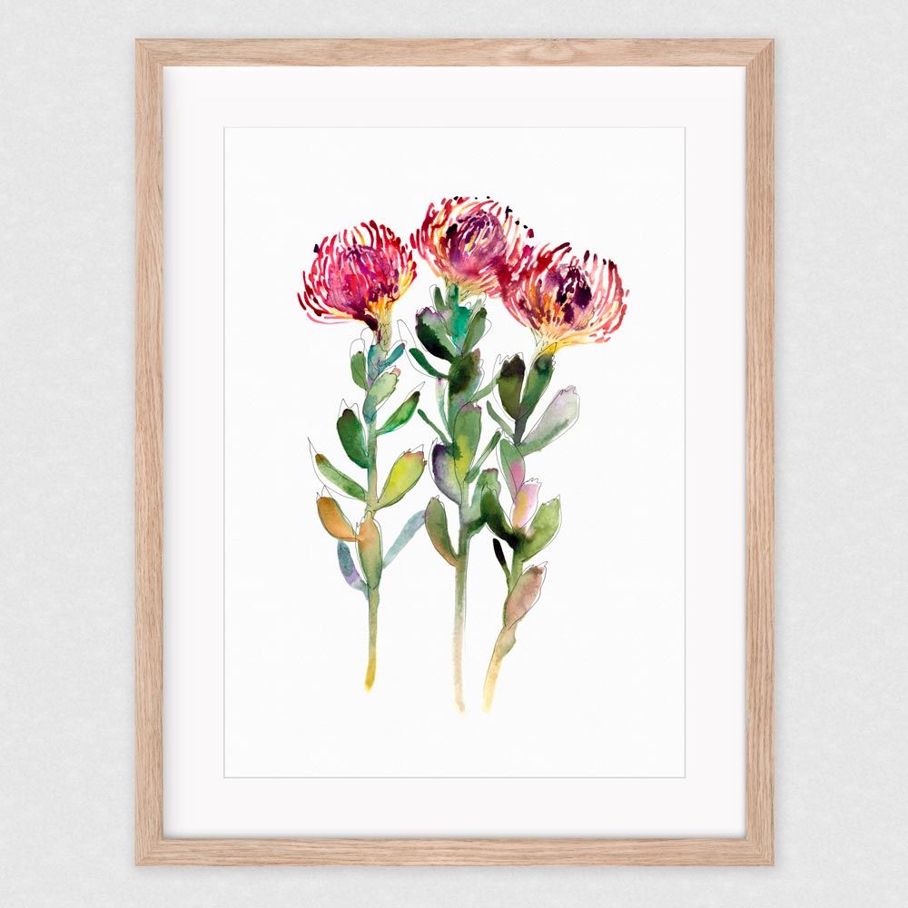 "Untitled (Pin Cushion Trio)" by Natalie Martin, 2017. A2 (42 x 59.4cm) Limited edition of 50 From 'The Flower Thief' Series This is a giclée print of an original mixed media illustration. Printed on museum quality Hahnemuhle 310gsm 100% acid free archival paper. All prints are individu Diy Canvas Art Painting, Water Painting, Watercolor Artwork, Watercolor Artist, Protea Art, Australian Wildflowers, Natalie Martin, Plant Art, Limited Edition Prints