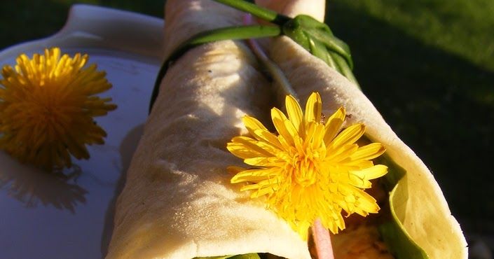 ....ami olyan mint a tortilla, csak én búzalisztből készítem. Az eredeti tortilla egy különleges kukoricalisztből készül, nekem oly... Plants, Plant, Planets