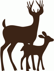 father and son deer