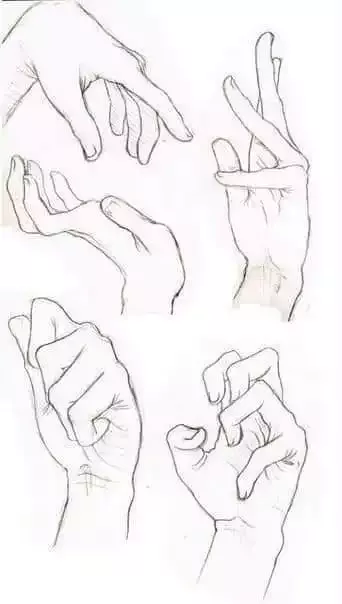 Anatomy references Anatomy references