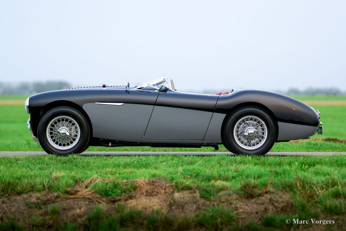 Austin Healey 100 4 Bn2 M Le Mans 1955 Welcome To Classicargarage Austin Healey Classic Cars British Austin