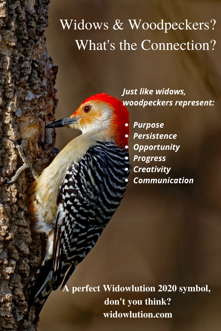 Inspirational Quotes 63 A Beautiful Quote Commuinty Animals Wildlife Photography What A Beautiful World