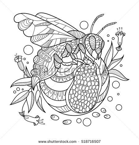 Wasp coloring book for adults raster illustration Antistress coloring