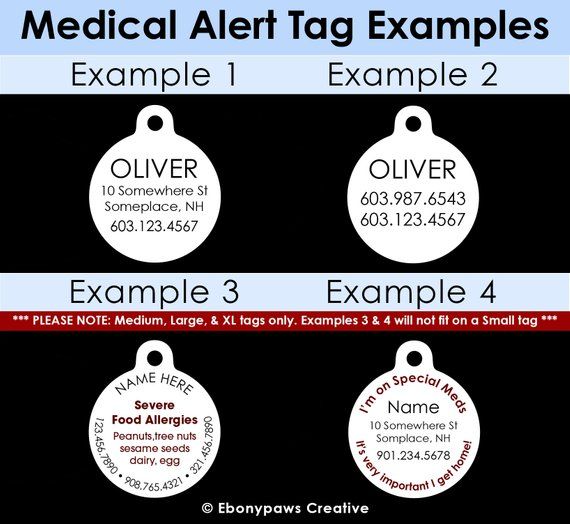pet id tag i have feline leukemia cat medical id tag medical how to get a doctors note for a cat