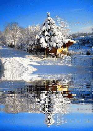 Midwinter Dream | Water reflections, Winter wonderland, Winter snow