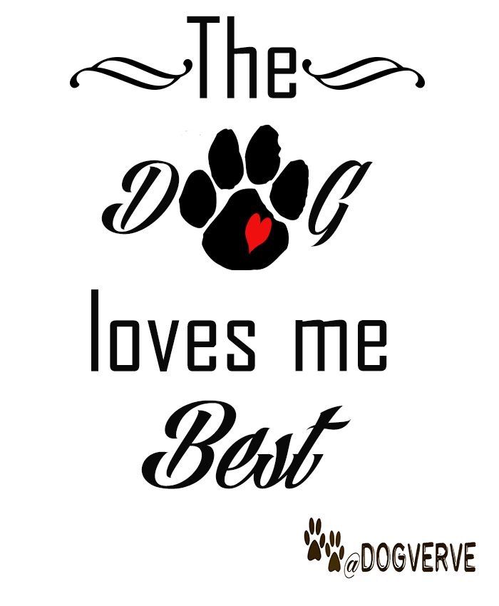Pin By Brittany Buck On Quotes About Puppies Dogs and More ALL THINGS Pin By Brittany Buck On Quotes About Puppies Dogs and More ALL THINGS