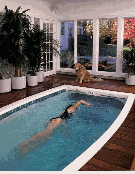 When The Winter Just Won T Subside Swim Against The Current In Your Own Indoor Swimex Pool Swimspa Dream Pool Indoor Indoor Outdoor Pool Indoor Swim Spa