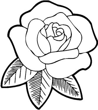 resultado de imagem para como desenhar bem desenhos para pintar com