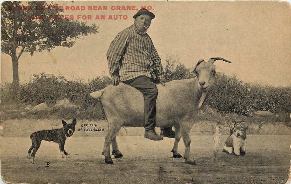 1901 1907 Pc Man Riding A Goat Near Crane Mo Who Cares For An Auto Unposted Terrier Riding Crane