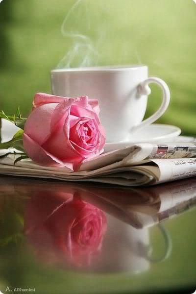 good morning the newspaper and a cup of coffee for you kaffee