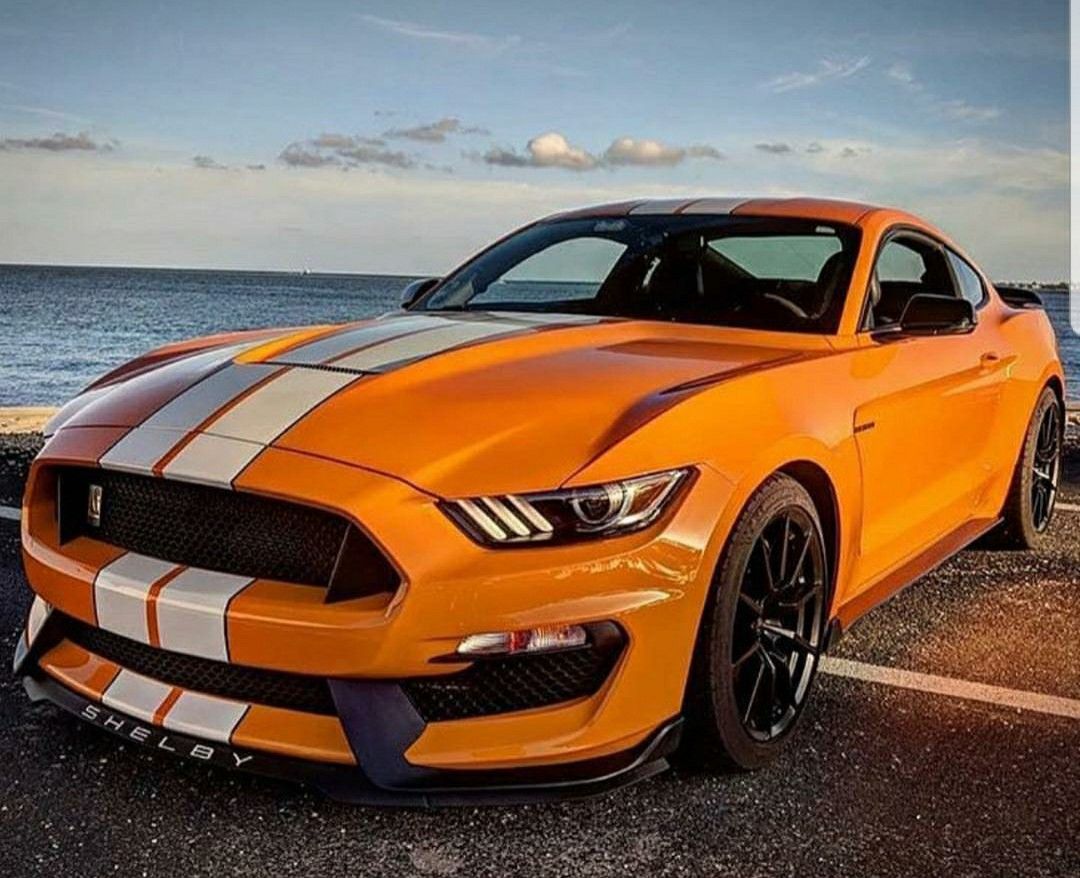 Mustang Cars Ford Mustang Gt Ford Gt My Dream Car Dream Cars mustang-cars-ford-mustang-gt-ford-gt-my-dream-car-dream-cars