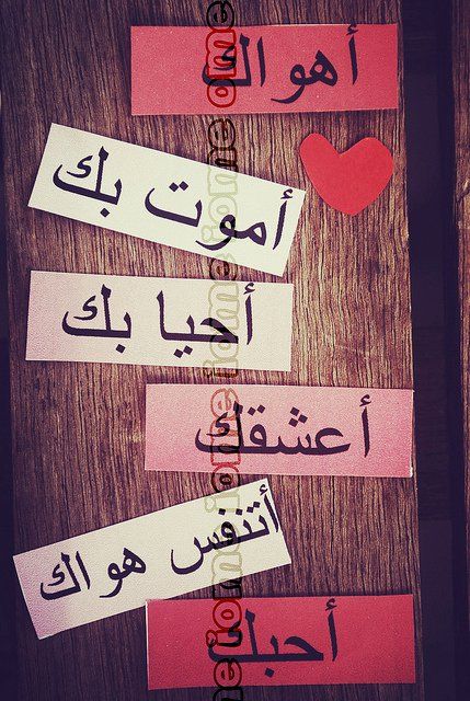 Afbeeldingsresultaat Voor اغار عليك Sweet Love Quotes Wonder Quotes Arabic Quotes