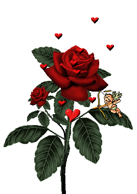 rosa de amor con corazones animados roses pinterest rosas rosas corazones