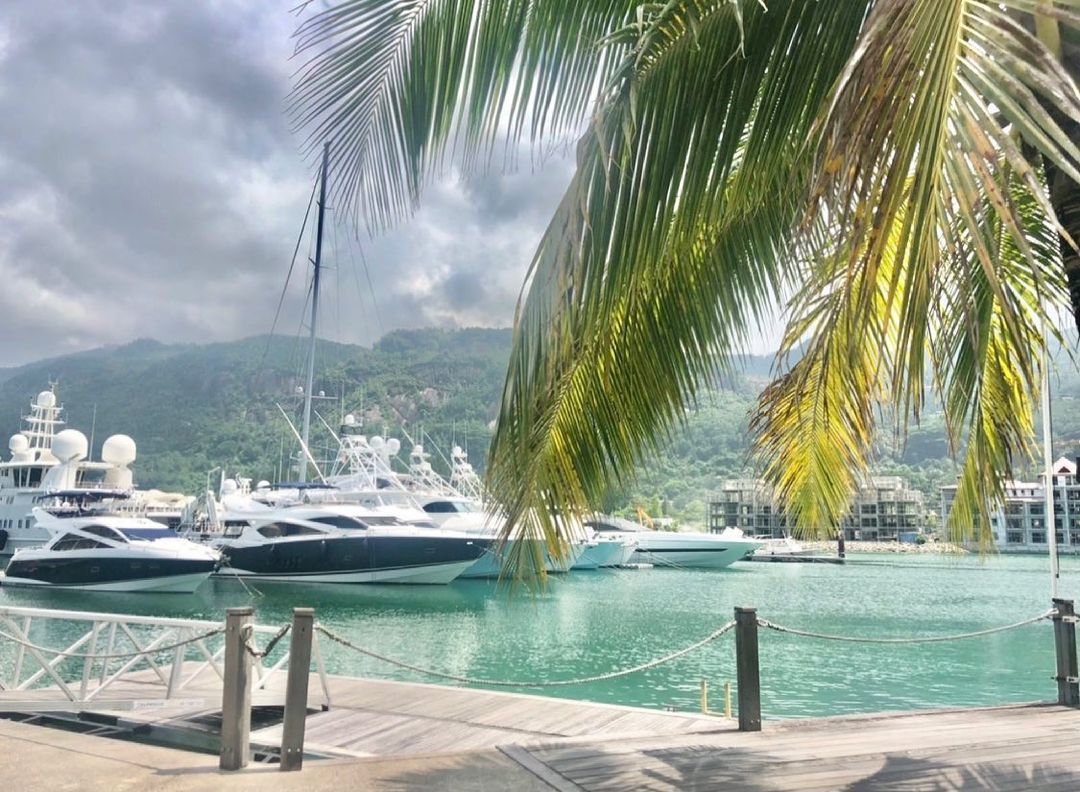 Food | Travel | Lifestyle on Instagram: “Eden Island, Mahe 🏝 @edenislandseychelles #seychelles #mahe #edenisland #superyacht #yachts #boats #travel #travelphotography…” Mahe, Food Travel, Travel Lifestyle, Seychelles, Yachts, Eden, Boats, Pool, Island