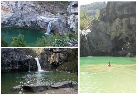 32 Ideas De Lugares Parques Naturales Vegetacion Del Bosque Día De Santa Lucía