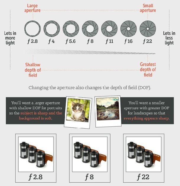 Top 28+ Stock Images what does every camera need in order to take pictures? Stunning Top 28+ Stock Images what does every camera need in order to take pictures? Stunning