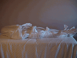 green burial shroud green burial shroud