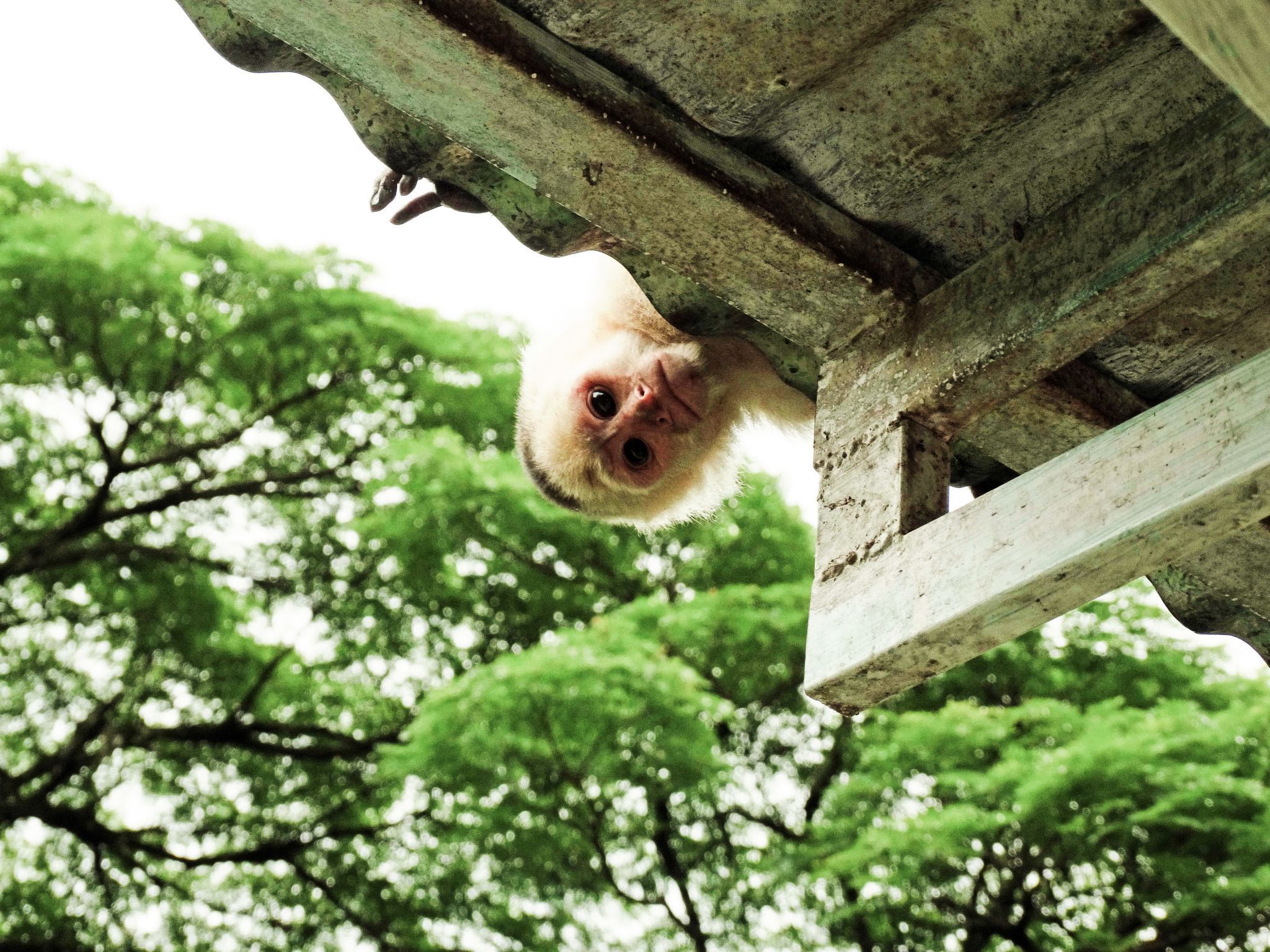 Life in the jungle is NEVER dull. But a friendly reminder to never