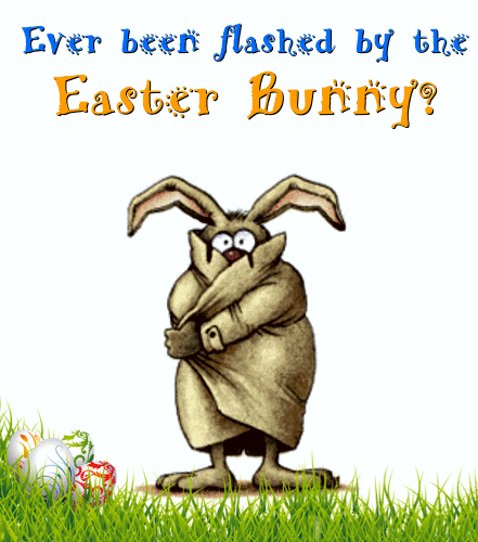 Pin By Greetings Ecards On Easter Funny Easter Bunny Easter Fun