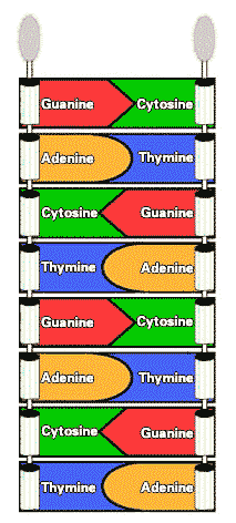 Dna technology research paper