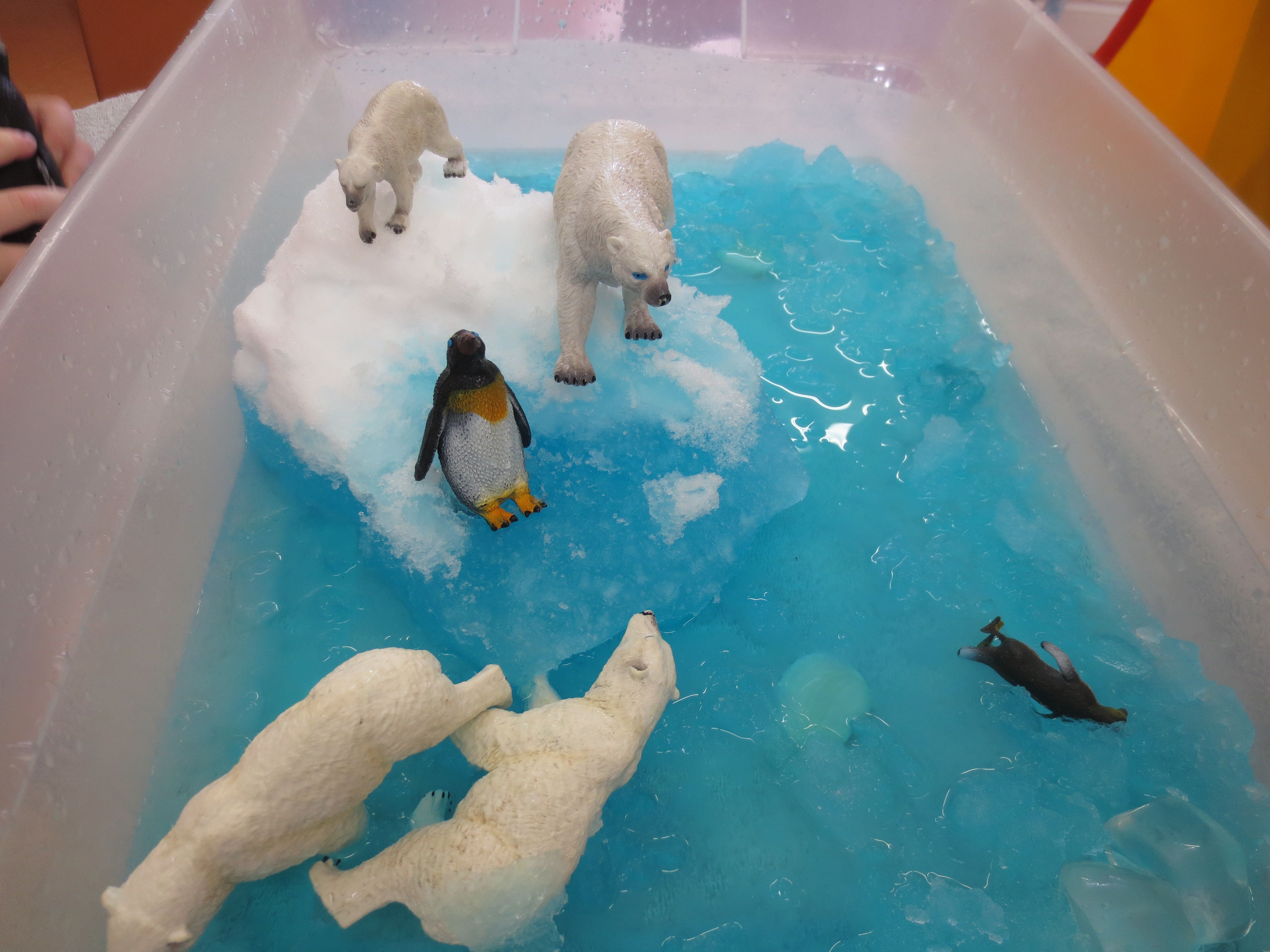 Arctic Small World Sensory Play | Winter animals, Winter unit, Reggio