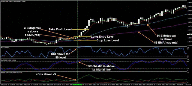 Can Anyone Become a Trader | SmartTrader