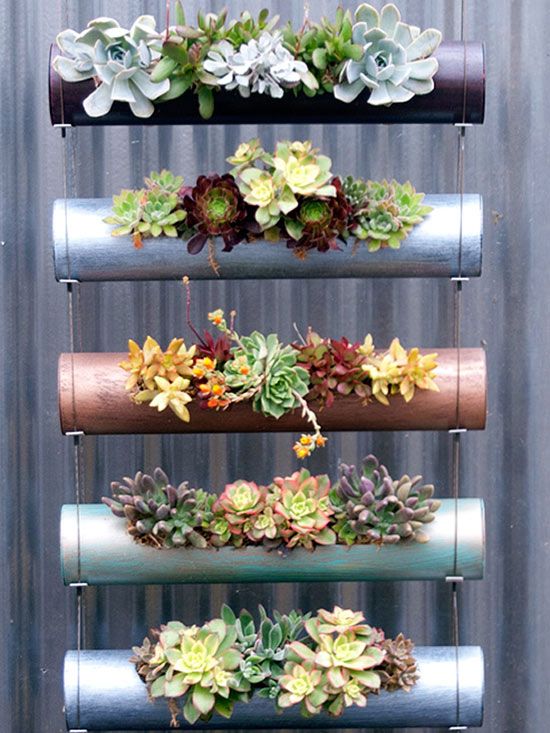 Vertical Garden Ideas | Vertical garden diy, Hanging plants indoor