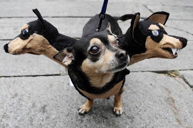 Pin On Disfraces Halloween