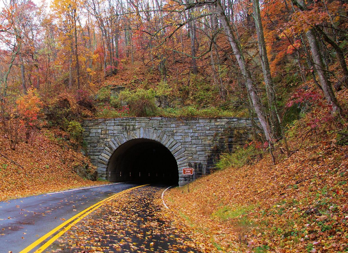 pin by romanticasheville com guide on fall color in nc mountains