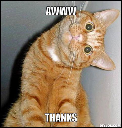 thanks meme thank you cat meme generator awww thanks 9070cc jpg 93b86e3b92dc036c990116feac27c01f thanks meme thank you cat meme generator awww thanks 9070cc jpg
