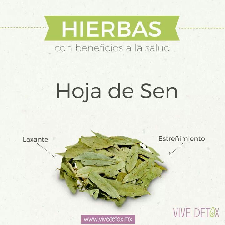 hojas de sen tea