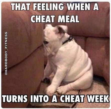 Super Fitness Humor Quotes Humour Feelings Ideas #quotes #fitness #humor #humour