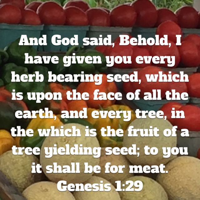 Genesis 1 29 And God Said Behold I Have Given You Every Herb Bearing Genesis 1 29 And God Said Behold I Have Given You Every Herb Bearing