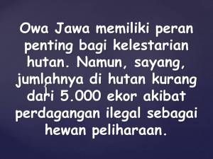 Yang tidak termasuk manfaat hutan adalah