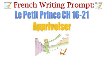 Little prince essay