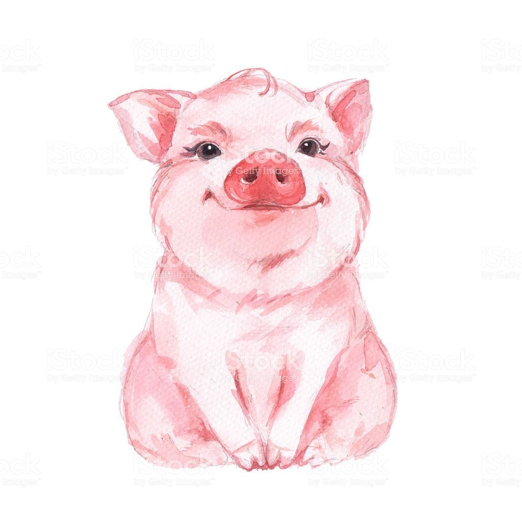 hand drawn pig Watercolor illustration, Funny art, Animal illustration hand drawn pig Watercolor illustration, Funny art, Animal illustration