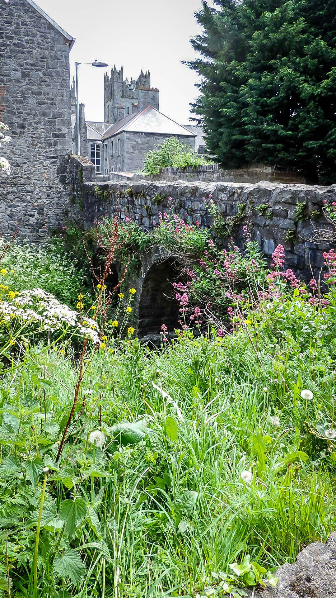 Abbey Street Kilkenny Ireland Favorite Places Places To See Places